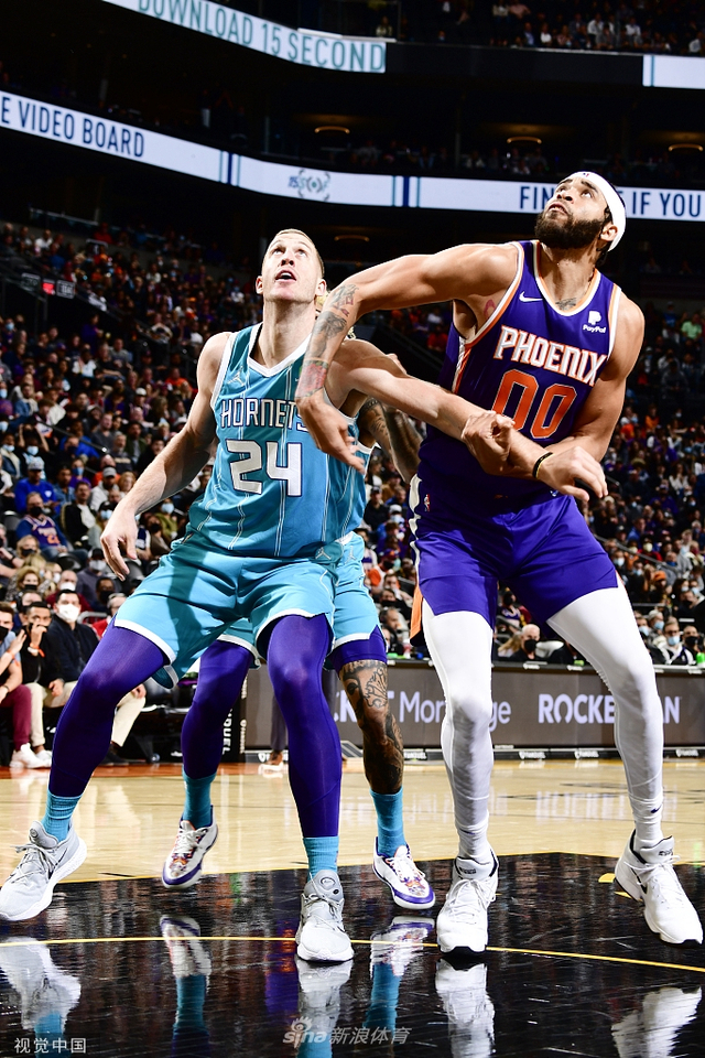 多样性的持 多样性的持