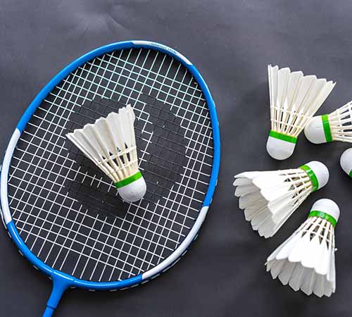 的观赏性转 的观赏性转